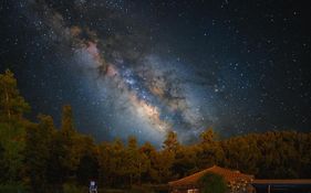 La Palma Wild Life
